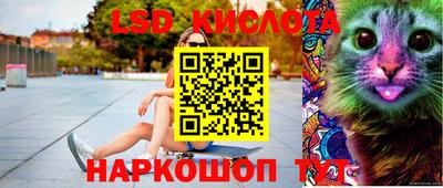 твердый Кингисепп