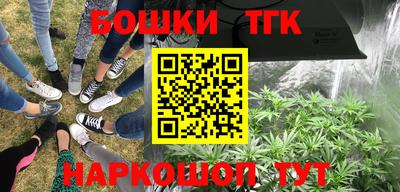 твердый Кингисепп