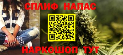 твердый Кингисепп