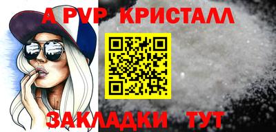 твердый Кингисепп