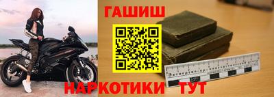 твердый Кингисепп