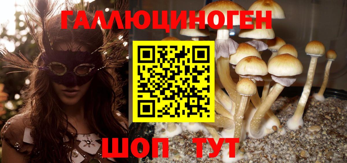 Псилоцибиновые грибы MAGIC MUSHROOMS Конаково