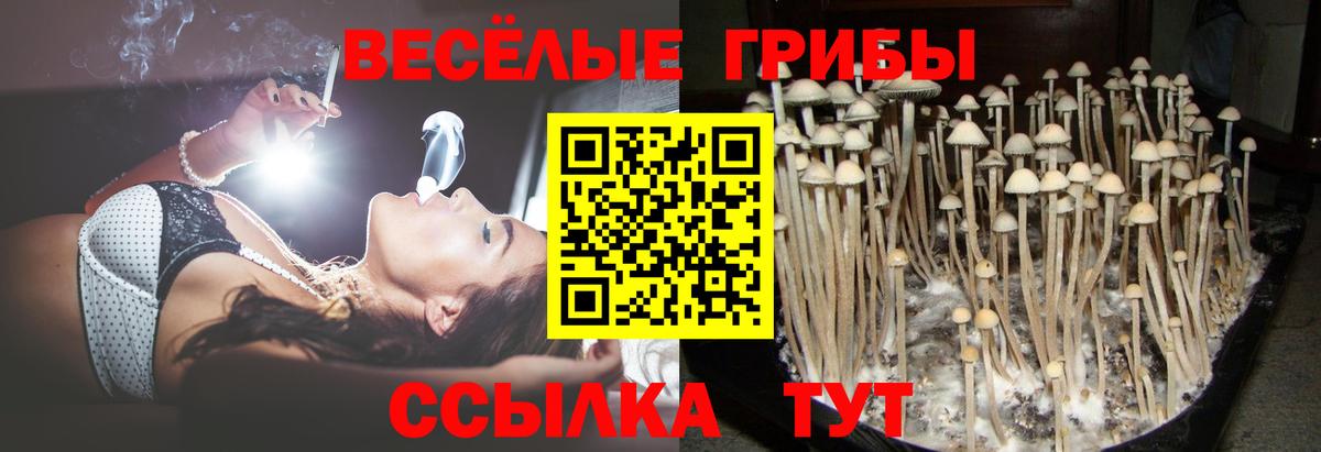 Конаково  Галлюциногенные грибы Magic Shrooms  Вход с VPN 